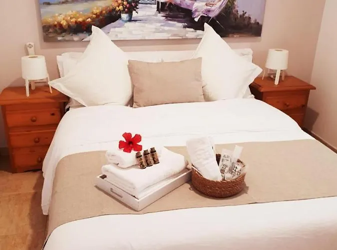 Apartment Ses Orenetes *